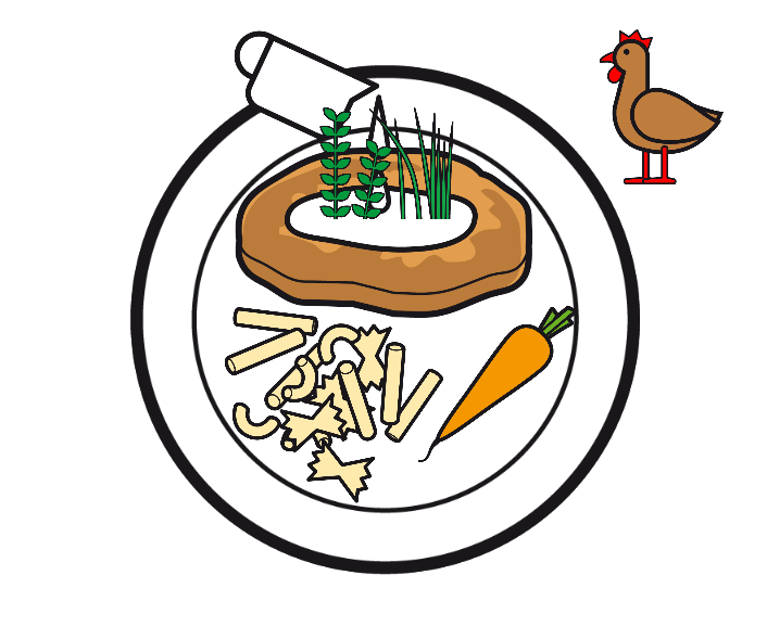 GEBRATENES POULETSCHNITZEL AN KRÄUTERSAUCE, TEIGWAREN UND RÜEBLI / ALTERNATIVE: SÜSSKARTOFFEL-TÄTSCHLI