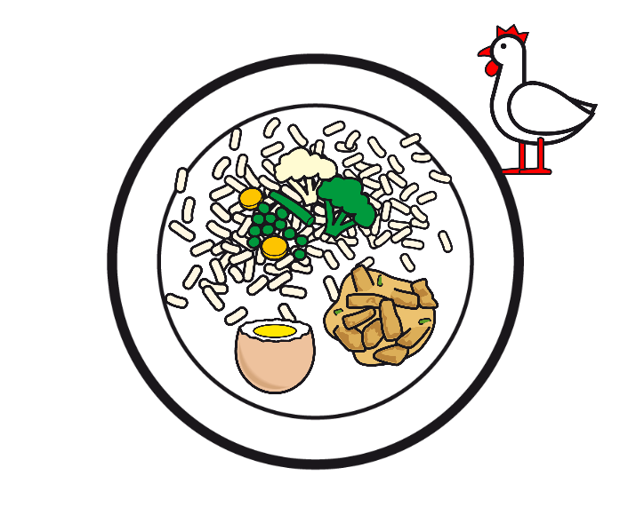 NASIGORENG MIT EI UND POULET
