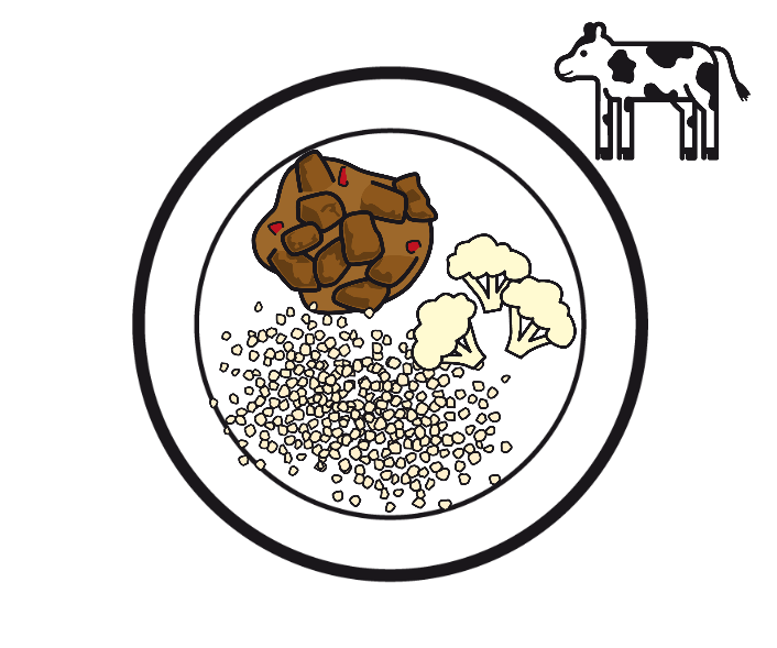 GESCHMORTES RINDSRAGOUT MIT POLENTA UND BLUMENKOHL / ALTERNATIVE: GEFÜLLTE CHAMPIGNONS