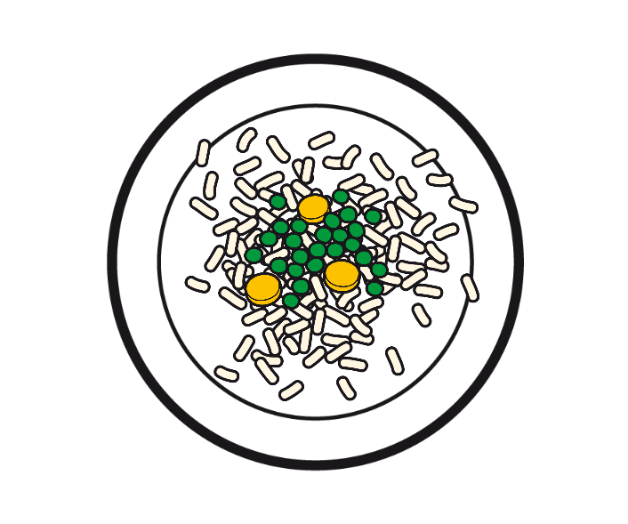 GEMÜSEPAELLA